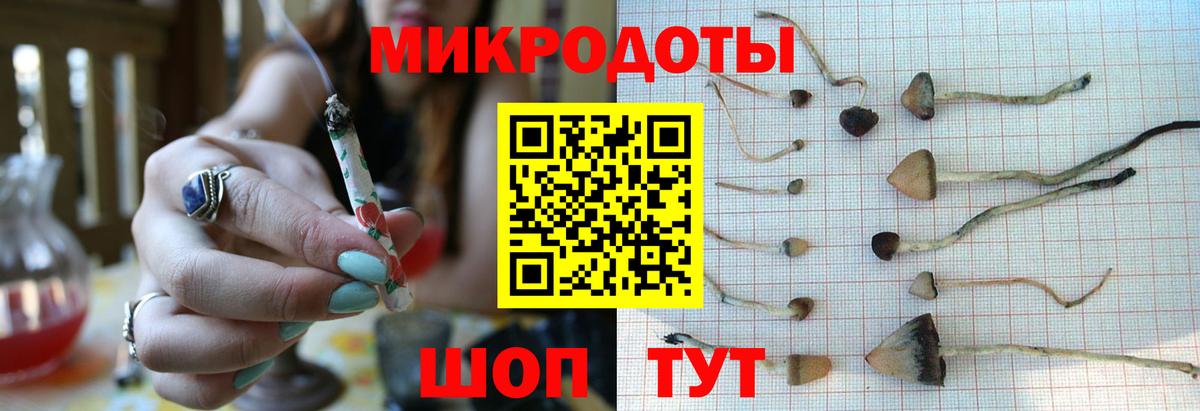 Псилоцибиновые грибы мицелий Усть-Илимск