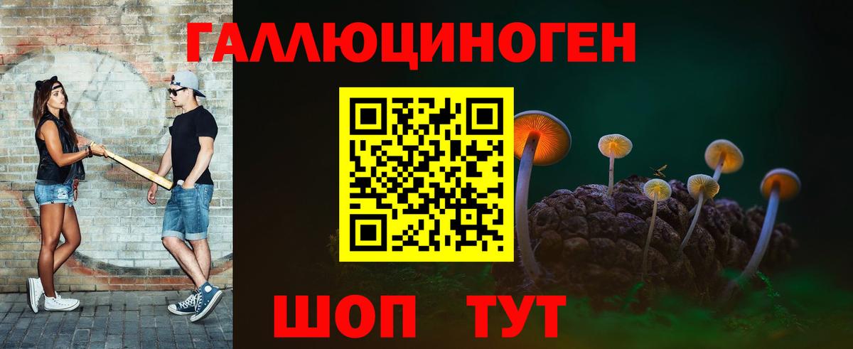 Псилоцибиновые грибы Psilocybe  Вход с VPN  Усть-Илимск 